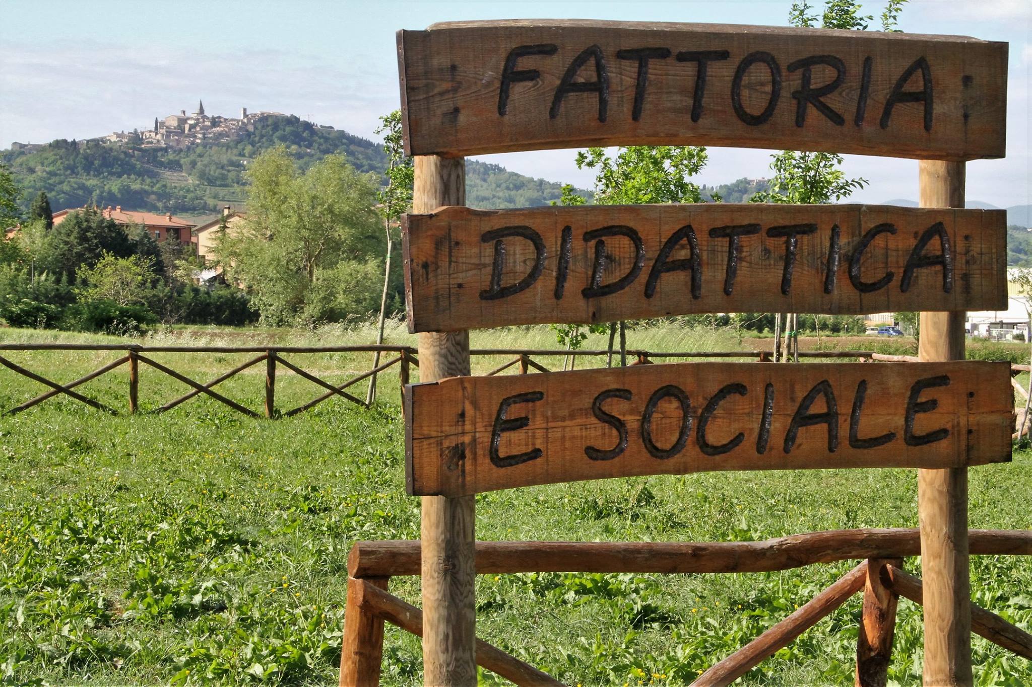 foto insegna fattoria con sfondo todi